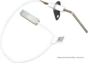 1190940 Fast Oem Parts Flame Sensor Kit