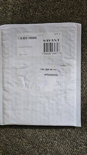 Savant Cli-slab1-00 Slab Remote Sensor