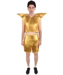 Hpo Adult Men Tv Musical Movie Antagonist Troll Gold Color Costume, HC-2136 New. Price: $46.28.