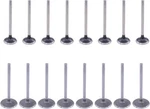 Motoku Engine Intake And Exhaust Valves For Chrysler 300 Aspen Dodge Charger New. Price: $120.82.